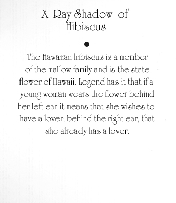 Hibiscus Text
